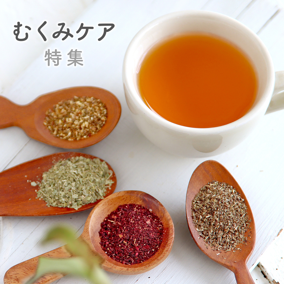 むくみ対策特集