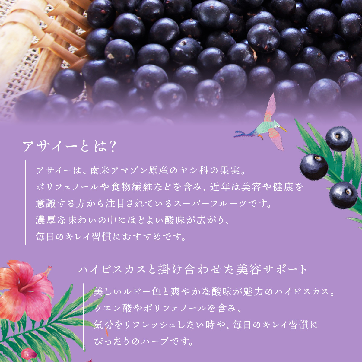 アサイー ルイボスティー