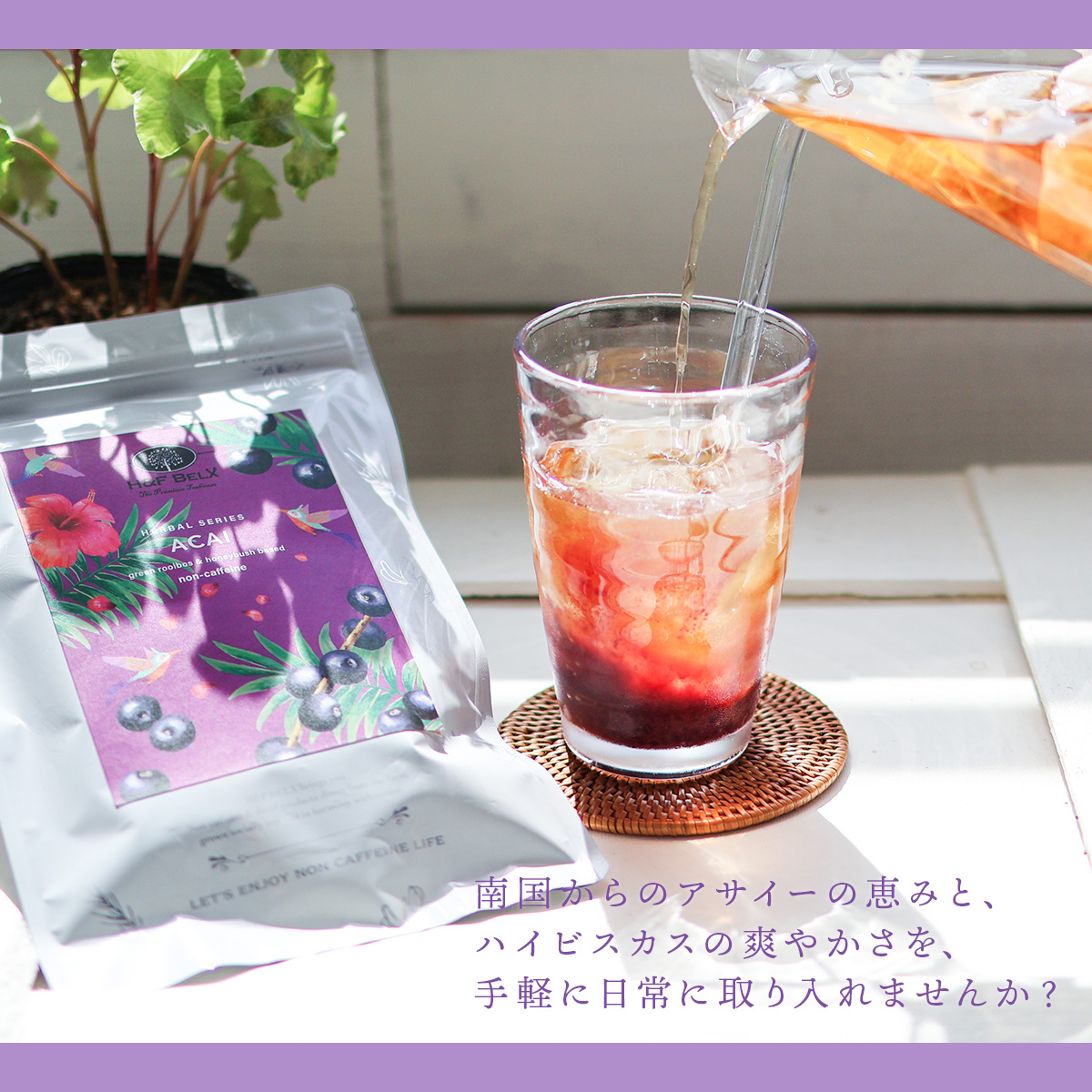 アサイー ルイボスティー