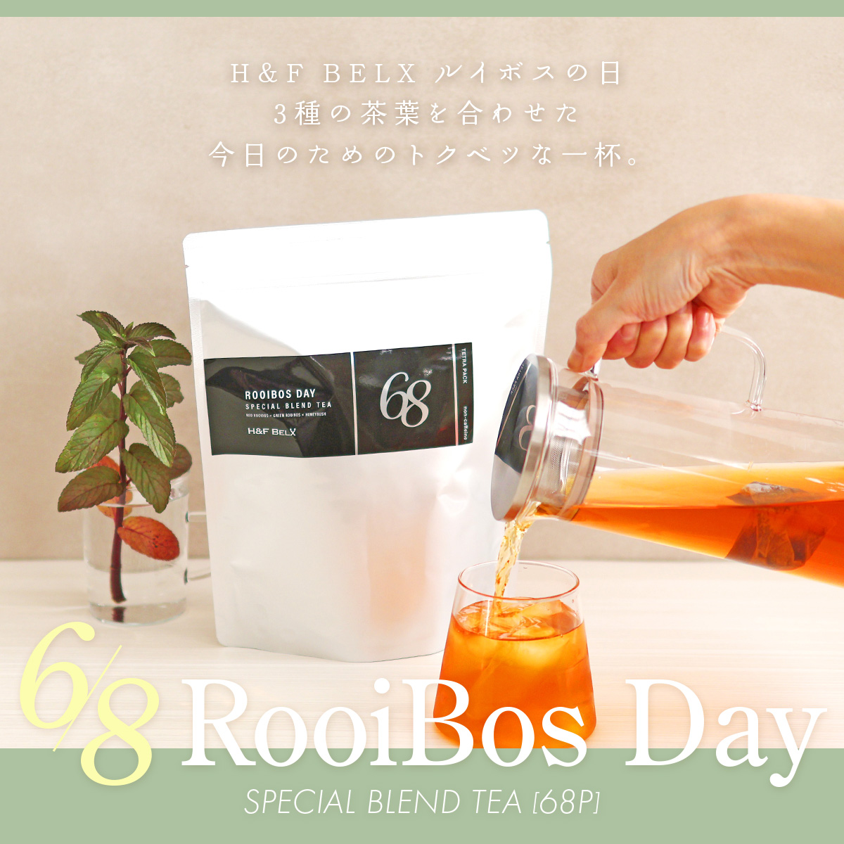 H&F BELXスペシャルブレンドティー 68包 数量限定 6/8ルイボスの日 ピュアルイボス・グリーンルイボス・ハニーブッシュ 3種ブレンド