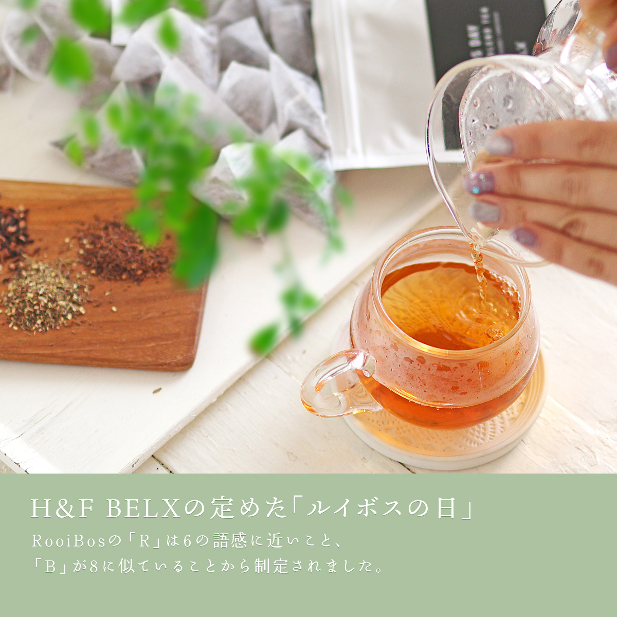 H&F BELXルイボスの日（6月8日）制定の由来 RooiBosのRが6、Bが8に由来 3種の茶葉のスペシャルブレンドティー