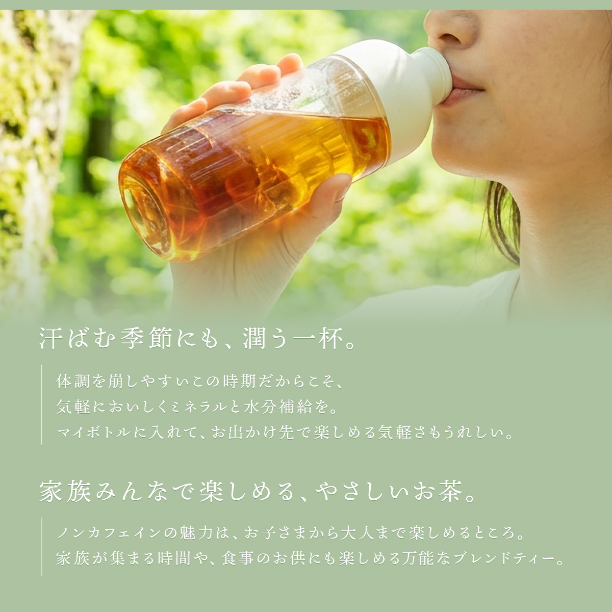 ノンカフェインのルイボスティー 毎日の水分補給 子どもから大人まで家族みんなで楽しめる マイボトル・オフィス・自宅用にも