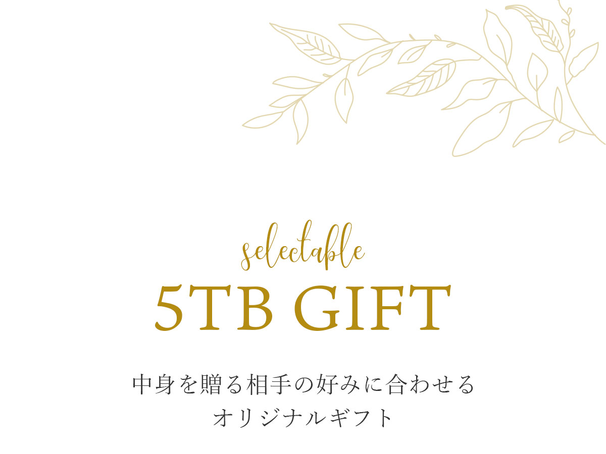 選べる5TBお茶6個ギフトセット
