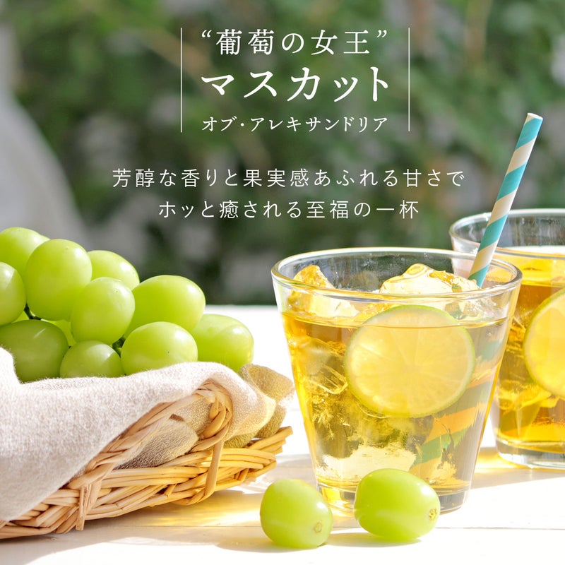 マスカットルイボスティー