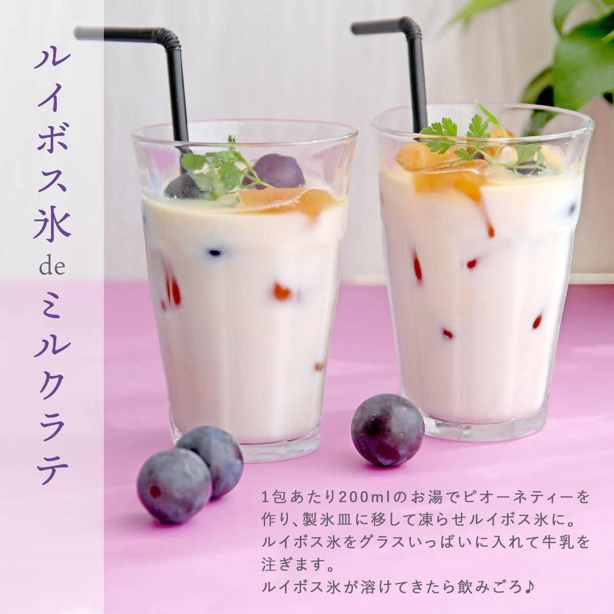 ピオーネルイボスティー