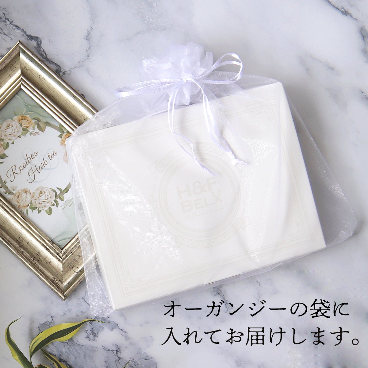 選りすぐり 5TBお茶6個ギフトセット 