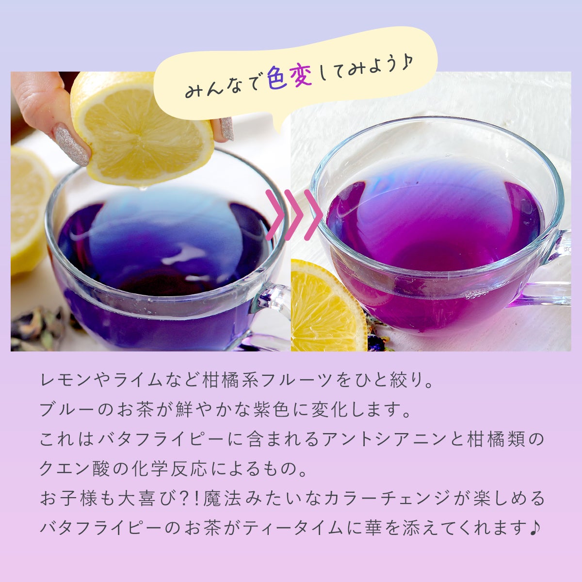 バタフライピー