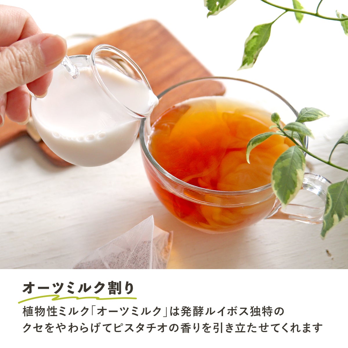 Petit Pack] ピスタチオルイボスティー 2.5g×5包[M便 1/10] | H&F BELX