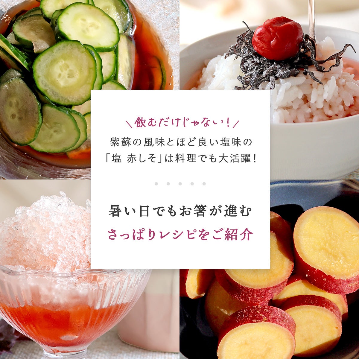 塩 赤しそルイボスティー