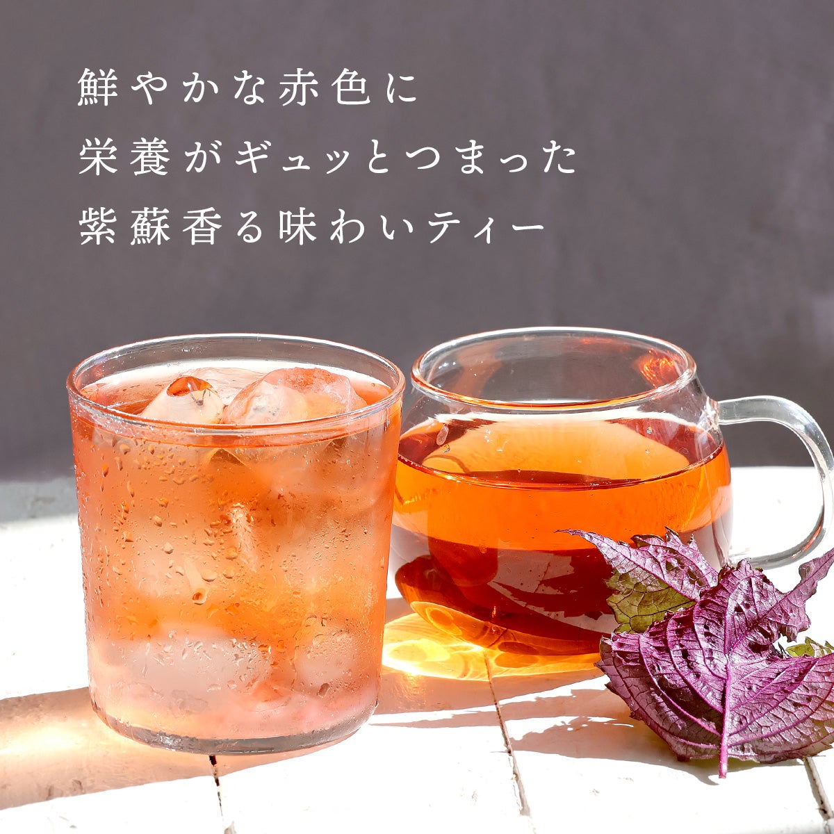 塩 赤しそルイボスティー